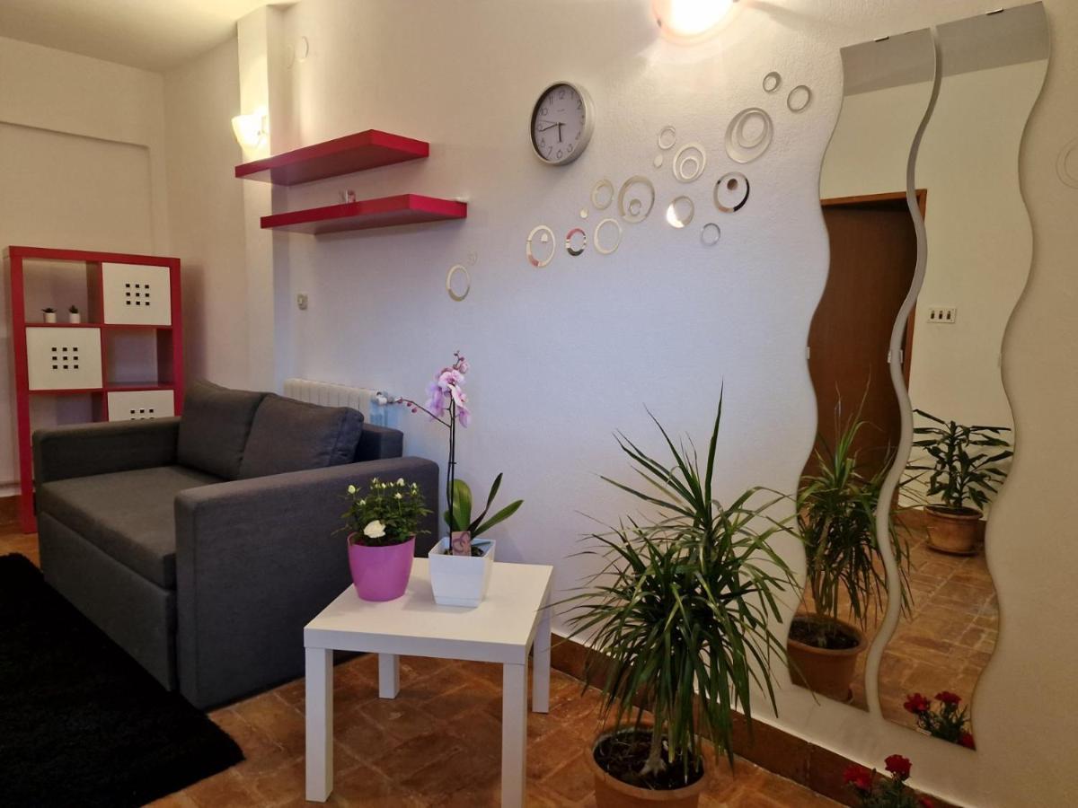 Apartman Sandro Motovun Exterior foto