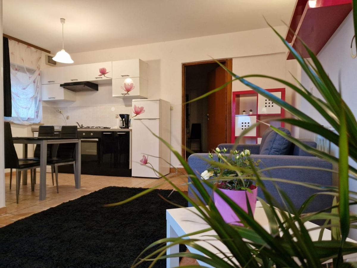 Apartman Sandro Motovun Exterior foto