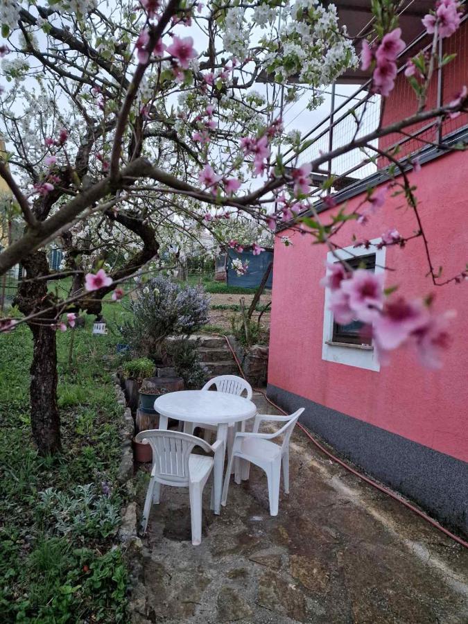 Apartman Sandro Motovun Exterior foto